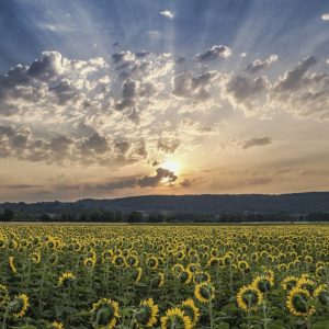 Consultation individuelle - Neuchâtel